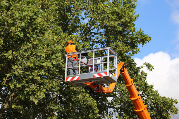 Mulching Services in Somers, WI