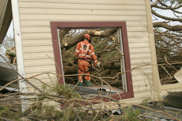 Trusted Somers, WI Tree Services Experts